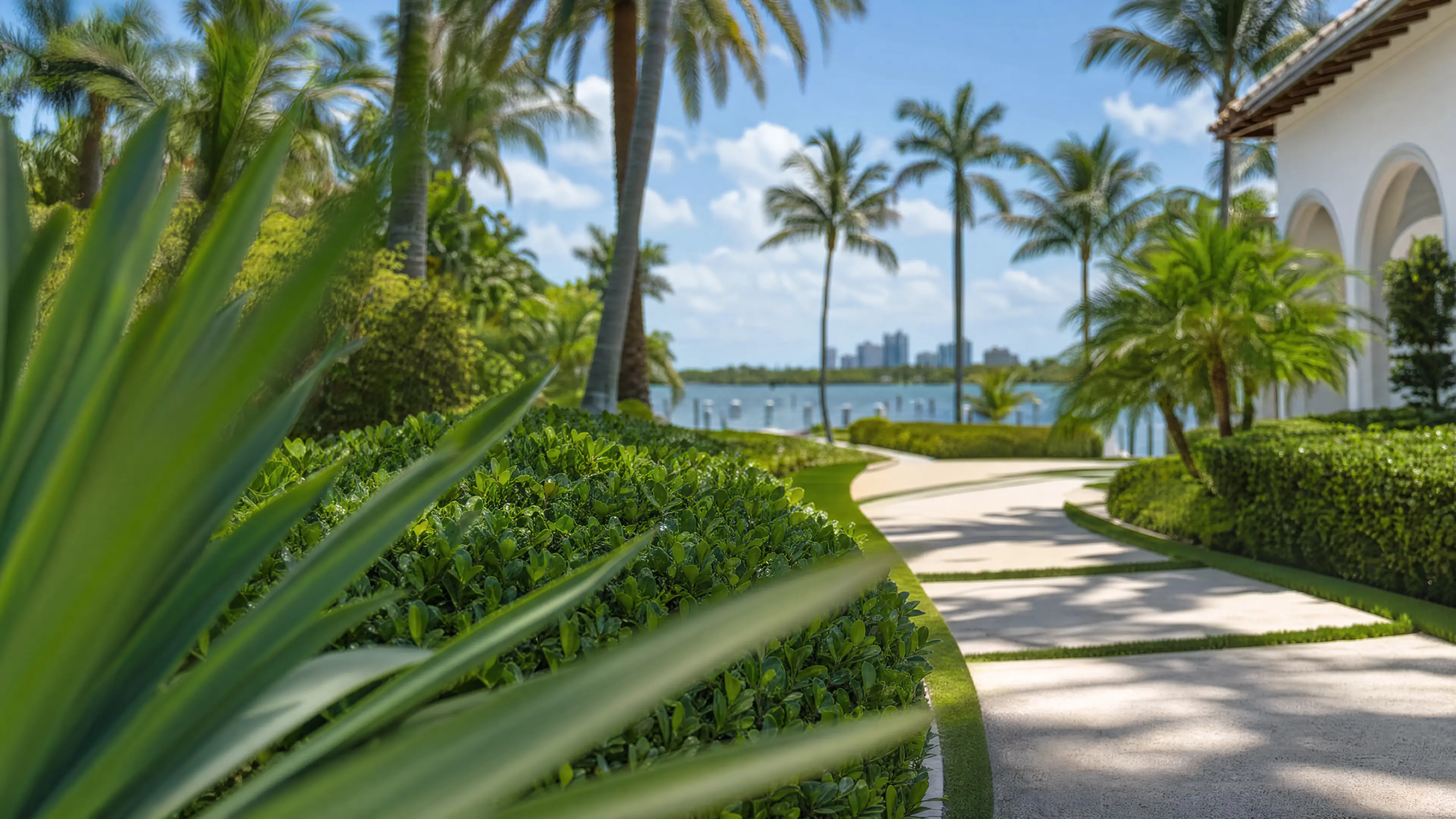 A residential driveway flanked by palms and trimmed hedges with the intracoastal in the distance
