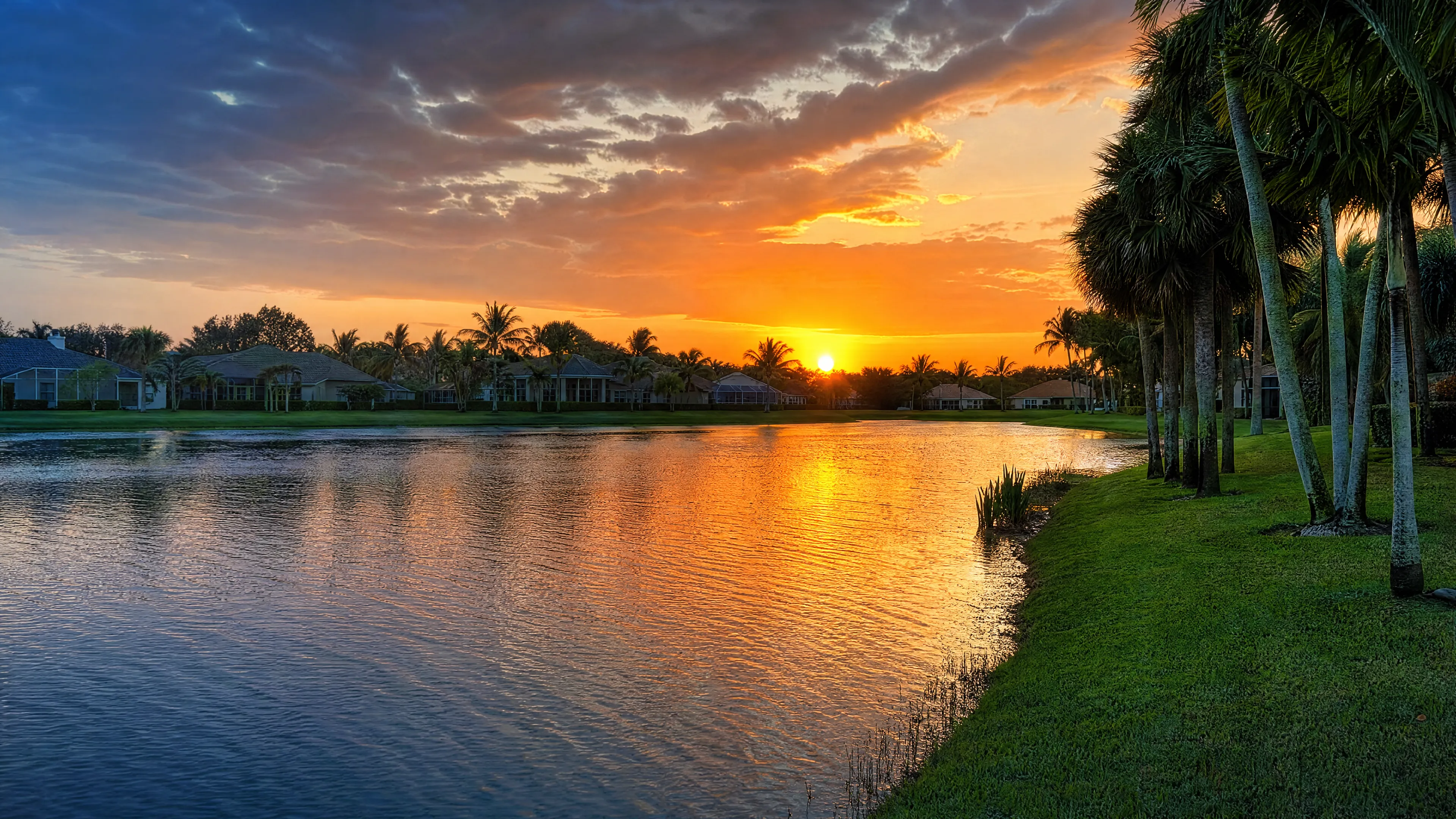 A lakefront residential lawn at sunset with palms reflected in the water